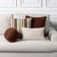 Weave Bisque Handwoven Dimensional Indoor & Outdoor Woven Accent Pillow & Insert-356164260