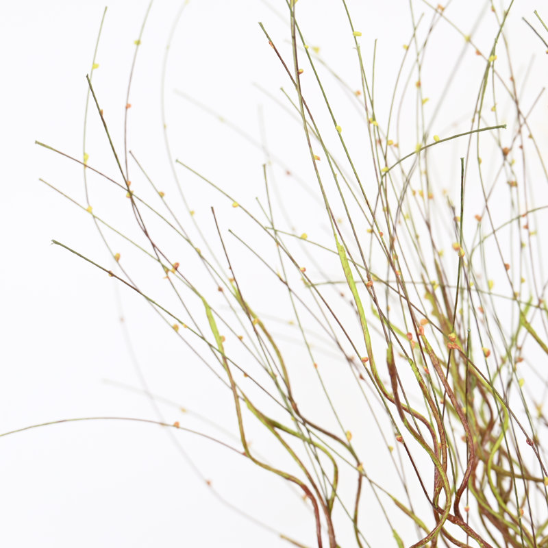 Brindilles artificielles d'automne dans un vase en verre, longue tige de ferme pour centres de table de salle à manger, décoration de fête de mariage pour bureau à domicile