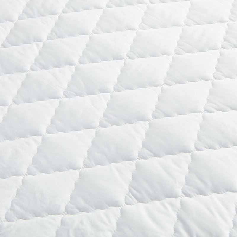 Willene Core Comfort Plus Bed Bug Relief Zippered Mattress Protector, California King