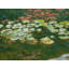 Serenity Lotus Pond Iii Print by Ruth Hayes-65806594-65806595