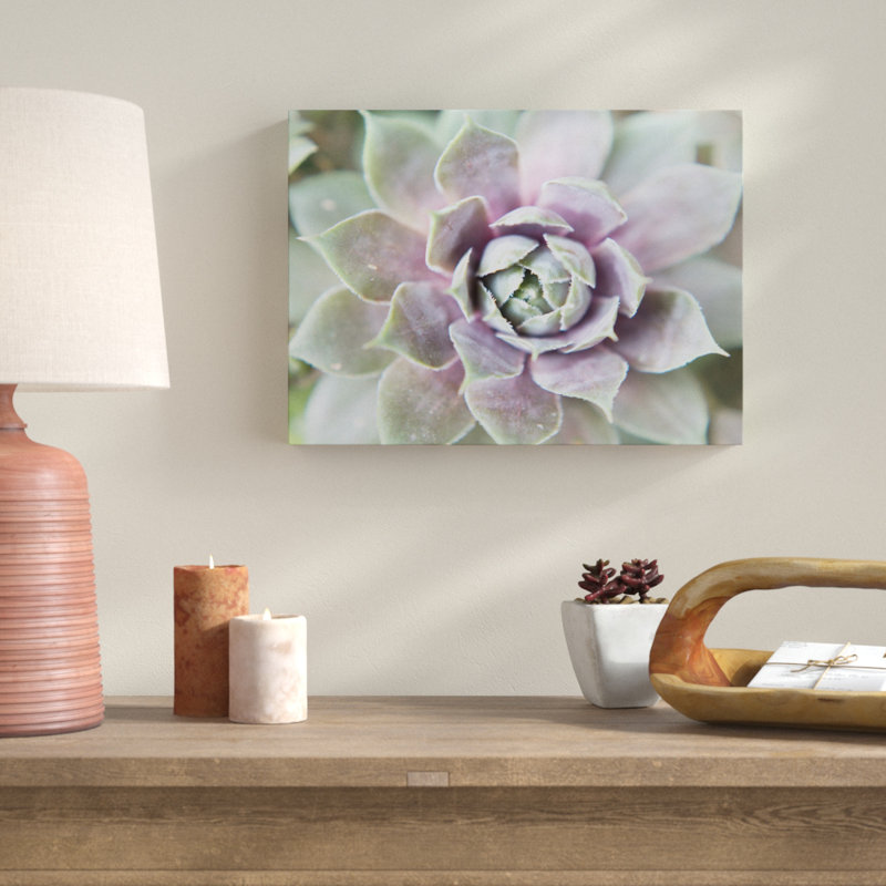 « succulent lueur ii », photographie sur toile tendue, H 14 po x l 19 po x P 2 po