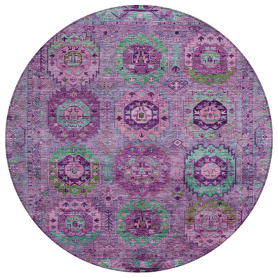 Machine Washable Indoor/Outdoor Chantille ACN2228 Panel Rug