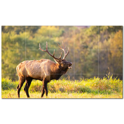 Murale décorative en céramique satinée 12 po x 12 po Deer Photo