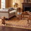 Tapis Manor traditionnel à médaillon délavé, style persan, orange, vert et crème, lavable à la machine, antidérapant, à poils courts, pour l'intérieur et l'extérieur, adapté aux animaux domestiques, idéal pour le salon, la chambre, la salle à manger, l'entrée, le couloir ou le bureau.-602614396