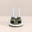 Gold Dual Flush Button Handle