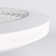 Hemion 19.6" RGB Ceiling Fan with Led Lights and Remote Control