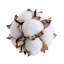Remplisseur de vase en coton Reyelle