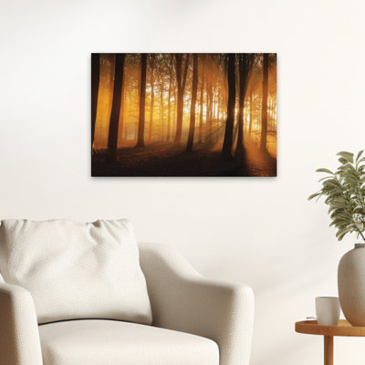 Nature's Glow - Contemporary Forest At Sunrise Light Rays Through Trees Golden Hour Woodland Art