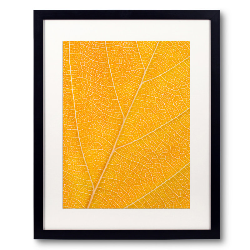Autumn Leaf Print by Philippe Monthoux, Black Framed Paper, 20" H x 16" W