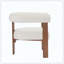 Fauteuil d'appoint moderne rembourré pour sièges de salon-1854765737