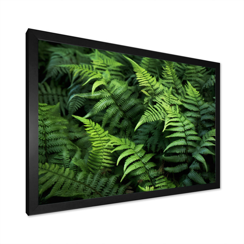 «Green Fern Scenery I» sur toile, H 34 po x l 44 po x P 1 po, Cadre photo noir