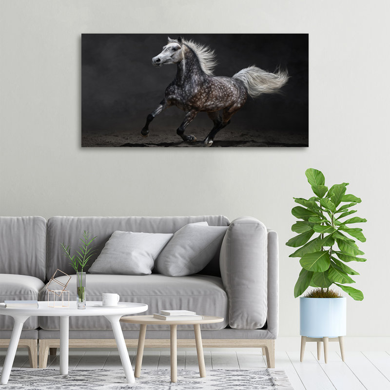 Gray Arabian Horse 1 Piece Wall Art on Canvas, 50cm H x 100cm W, No Frame