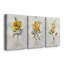 Canari Lin Sweetpea - ensemble de 3 reproductions sur toiles tendues-50524124