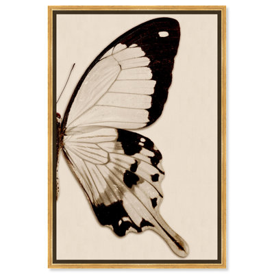 Animaux, sépia, papillon II, insectes - reproduction de photo sur toile