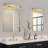 Dainoras LED Armed Sconce-535677039