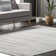 Romolo Abstract Gray Area Rug