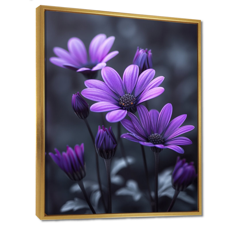 Mono mauve noir nuances marguerites - marguerites murales art de salon, Cadre flottant doré, H 24 po x l 32 po