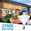 Ampoules PAR38 2700 - 2-136330655