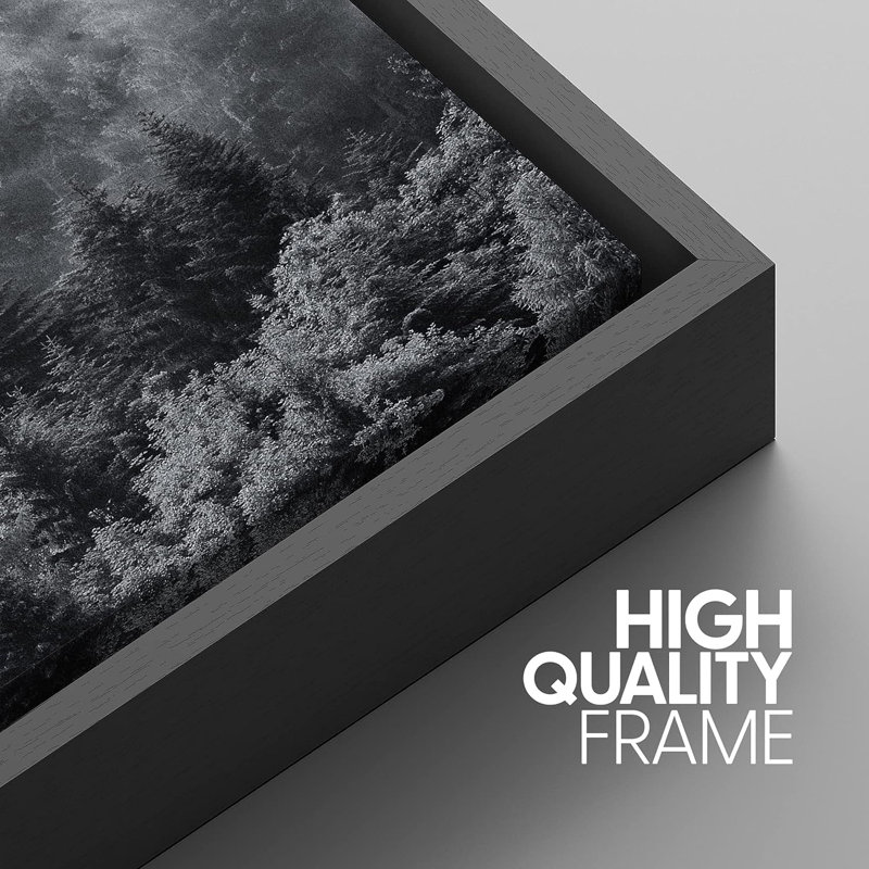 Misty Forests of Evergreen Coniferous Trees in an Ethereal Landscape - 3 Piece Canvas Photograph Print, 24" H x 16" W