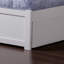 Lit plateforme Flack en bois massif avec pied de lit et gigogne-515421930-521825986