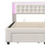 Velvet Hybrid Storage Beds Bed