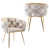 Beige est en rupture de stock