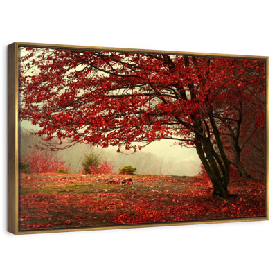 Arbre rouge en automne