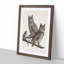 Great Horned Owls by John Audubon - Picture Frame Painting Print-55575505-55575507
