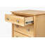 Fitz 25.25'' W Solid Wood Nightstand-1685496809