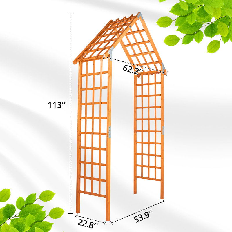 62.2'' W x 22.8'' D Solid Wood Arbor in Brown