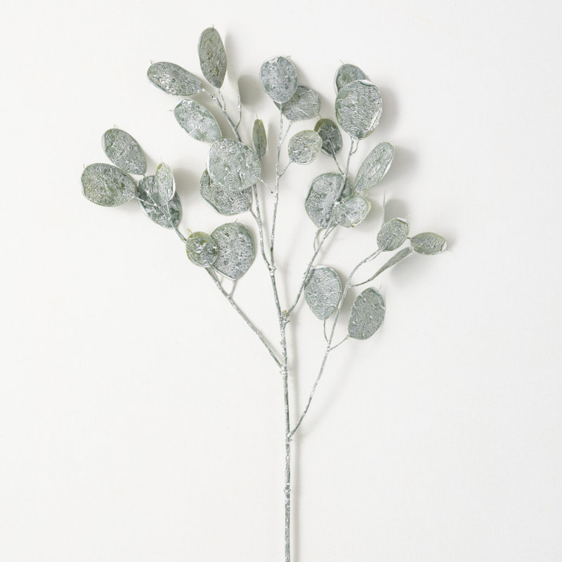 Money Tree Arrangement