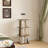 Vinicia Bookcase, 3 Tier Display Case, Bookshelf, Floor Standing Bookcase, Display Cabinet