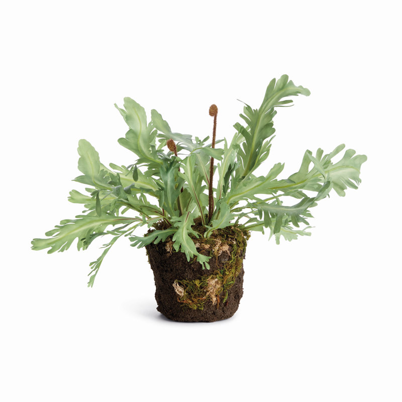RABBIT PIED ENCASTRÉ 13,5 po, 13.5"