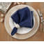 Ivara Whip Stitched Design 20" Cotton Napkin-1795018981