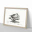 Goose by Jean Bernard - Picture Frame Drawing Print-55608589-55608586