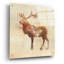 «Elk Study» par Studio Mousseau, art mural en verre acrylique épique, 24 po x 24 po-357393561