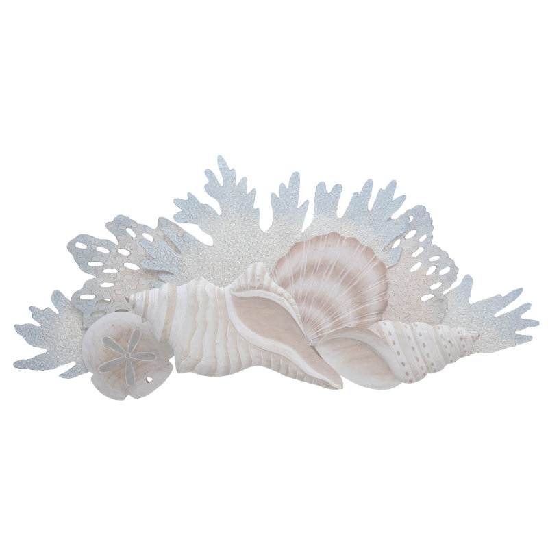 Coquille de récif