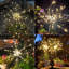 Feux d'artifice extérieurs imperméables à énergie solaire à DEL argentés et noirs à basse tension pour décoration de Noël-86934730