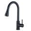 Belfry Kitchen Jace Pull Down Kitchen Faucet