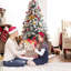 Christmas Decorative Accent-1783248145