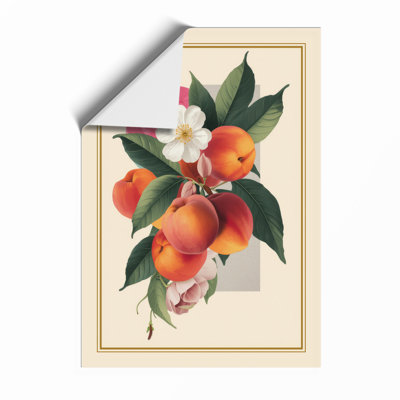 Peach Blossom Study Botanical - Print