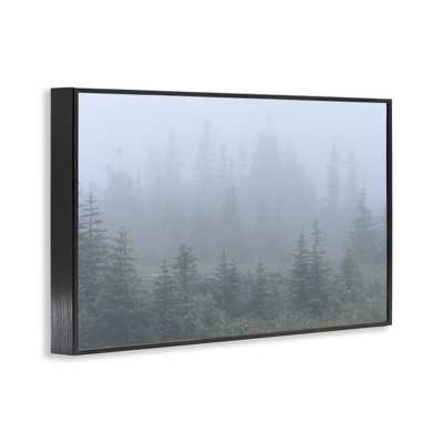 Foggy Forest Trees Framed Giclee Art by Hunter Page Photography