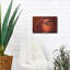 Mur en métal Ebern Designs «Ranonkel Oranje» par Rick Berk-1616975430