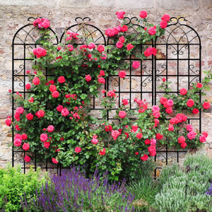 https://assets.wfcdn.com/im/05474810/resize-h300-w300%5Ecompr-r85/2888/288836006/Alamanda+Trellis.jpg