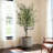Gwendelynn Round Ceramic Planter-1148683619-1148683612
