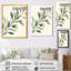 Doux eucalyptus, branche d'olivier I - art mural encadré botanique vert-736242472-736242476