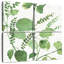 Harnek Mixed Greens XXII-109154111