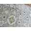 Tapis décoratif en laine de conception unique noué à la main gris/blanc 7 pi 7 po x 9 pi 10 po Corentin