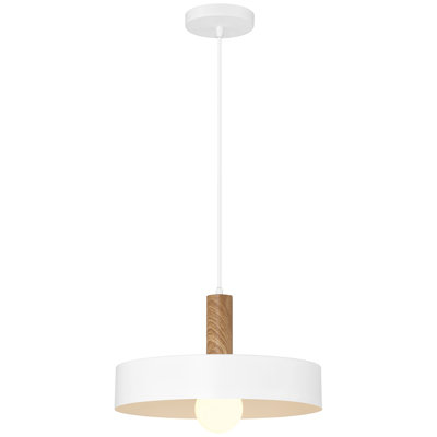 Roree 1 Light Pendant