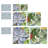 " Brilliant Succulents III/IV " by Norman Wyatt Jr. 2 - Pieces-28142650